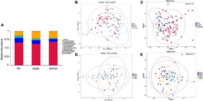 Specific gut microbiome and metabolome changes in patients with continuous ambulatory peritoneal dialysis and comparison between patients with different dialysis vintages